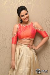 Sree Mukhi at Gentleman Movie Success Meet